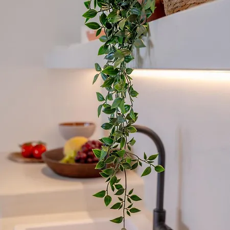 Apartment Ico Santorini *