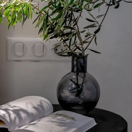 Apartment Ico Santorini Pýrgos